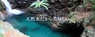 アクアセレクト.jpg