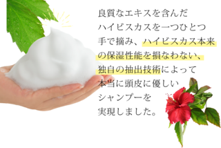 hibiscus1.png