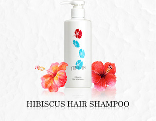 hibiscus2.jpg